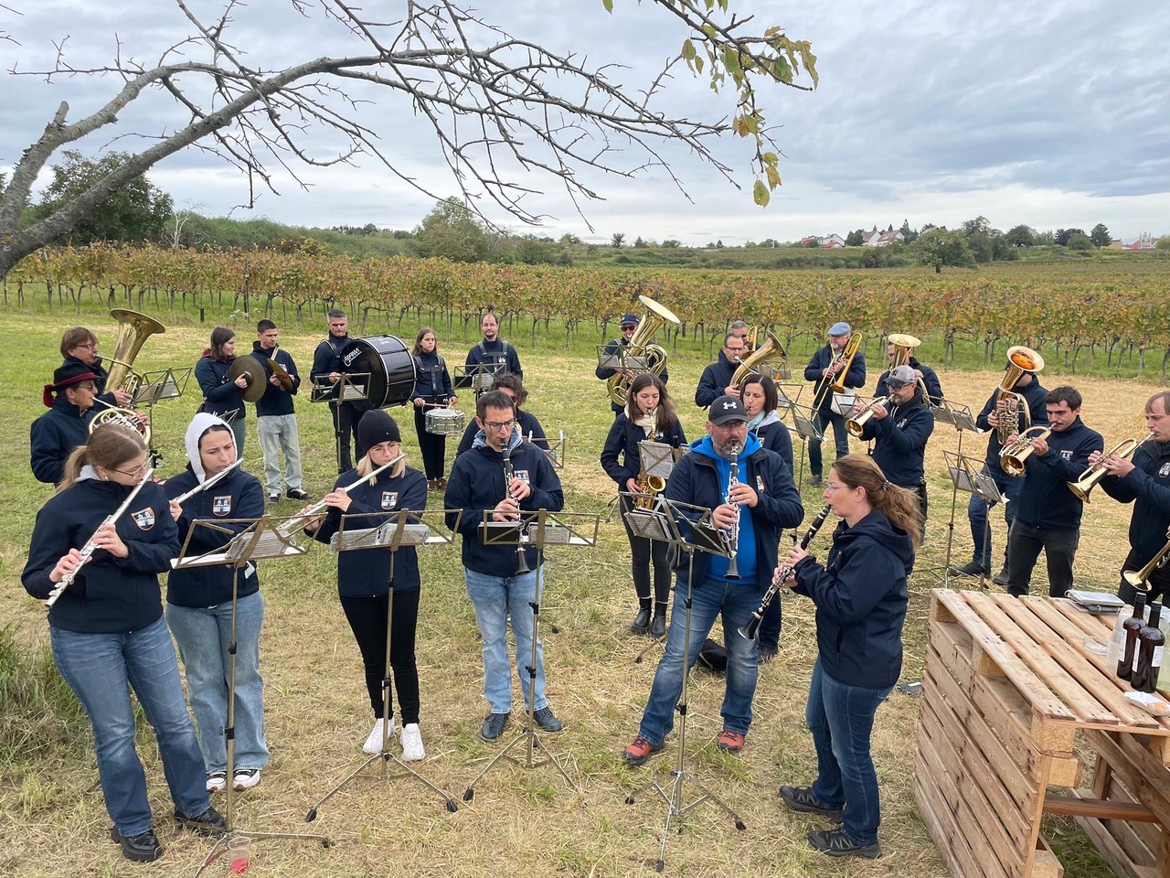 84f84513-3792-4fc1-8ef8-0444cd093e93