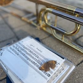 Frühlingsgrüße vom MVO! 